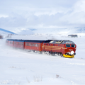 Eurail Norway Pass