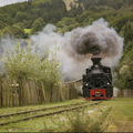Eurail Serbia Pass